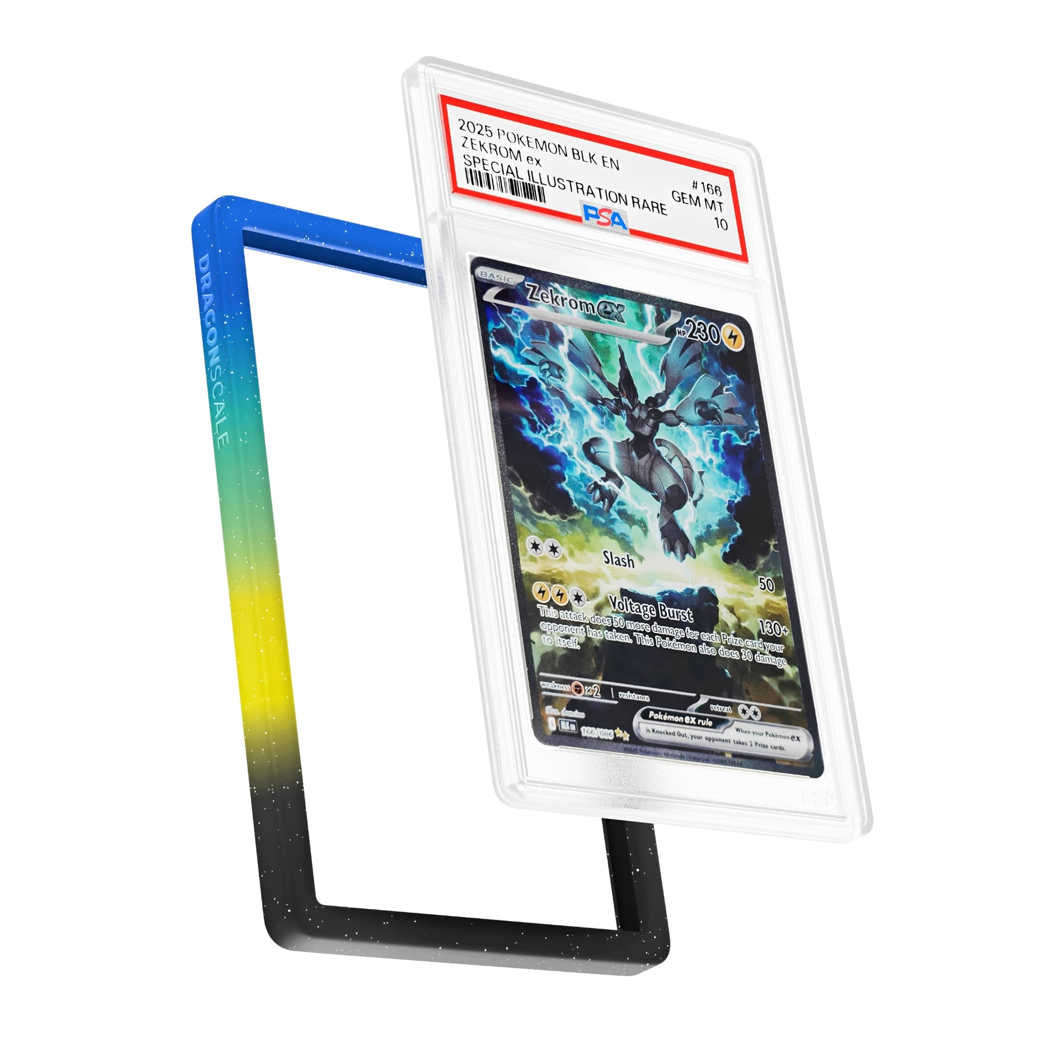 Dragonscale <br> PSA Bumper Guard <br> Mythic