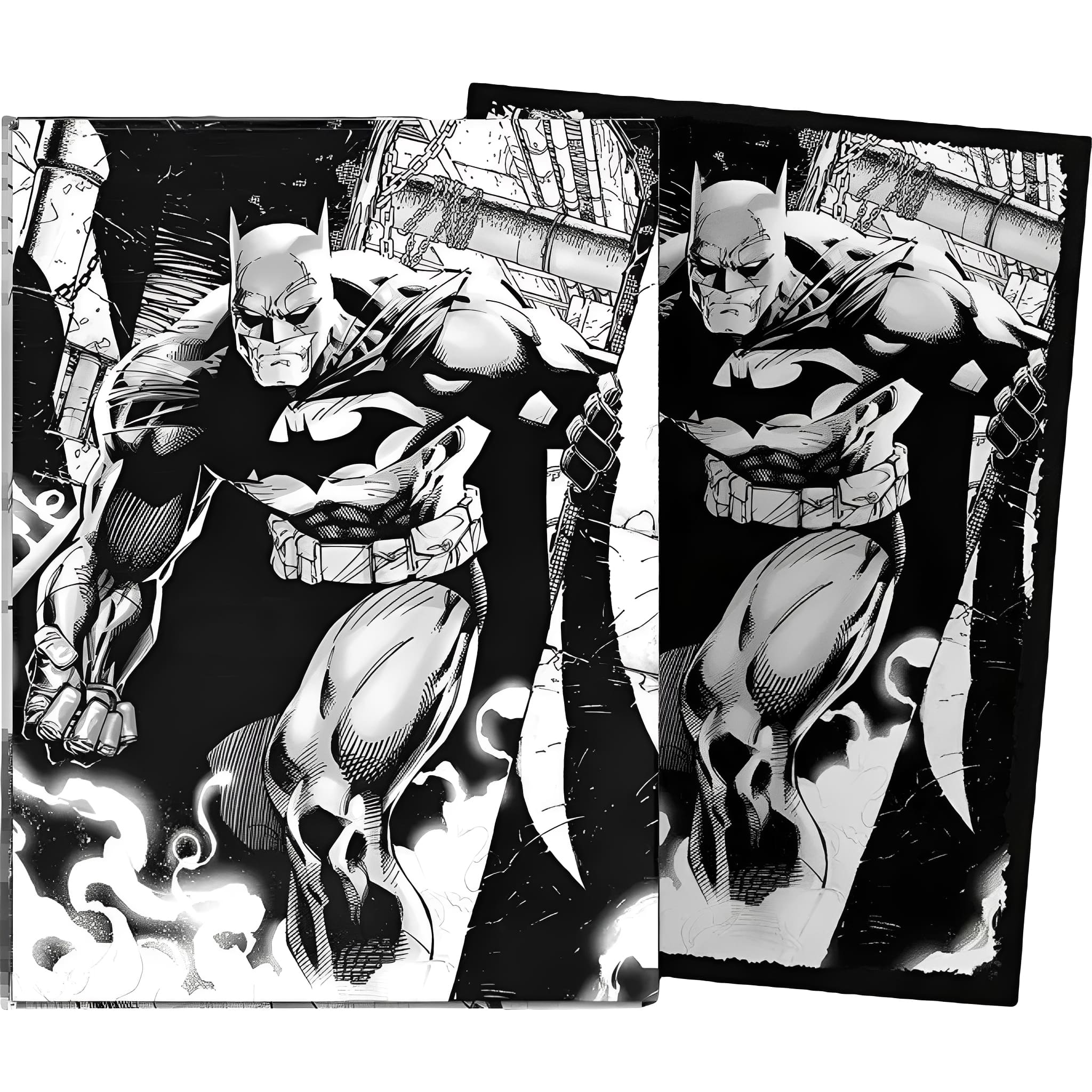 Dragon Shield Fundas Tamaño Estándar Cepillado Serie Art DC 100 Piezas